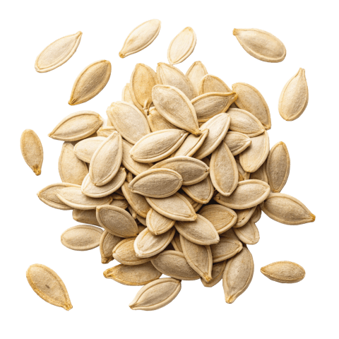 pumpkin seeds