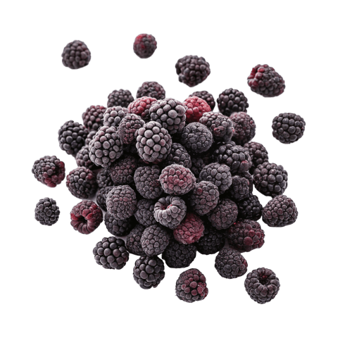 dried blackberries