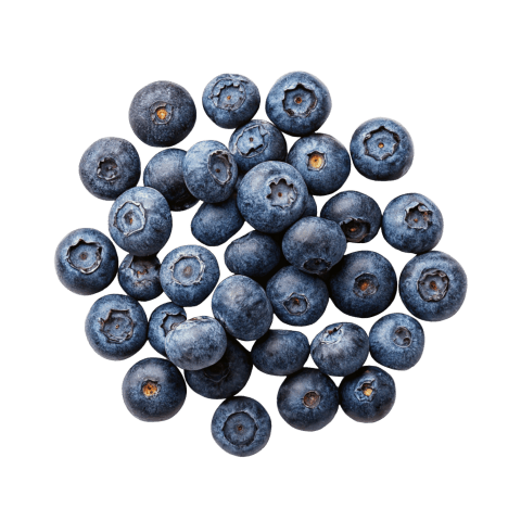 dried blueberries