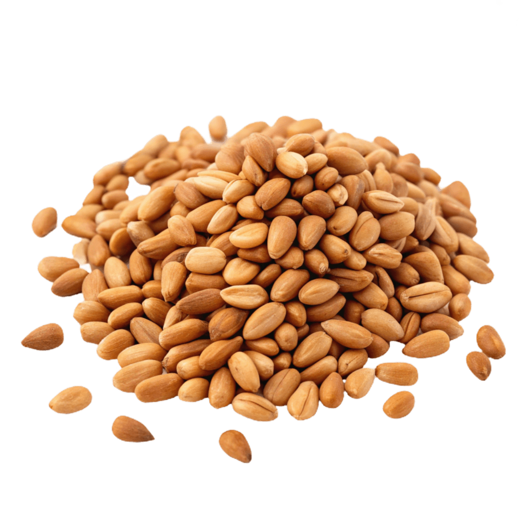 pine nuts